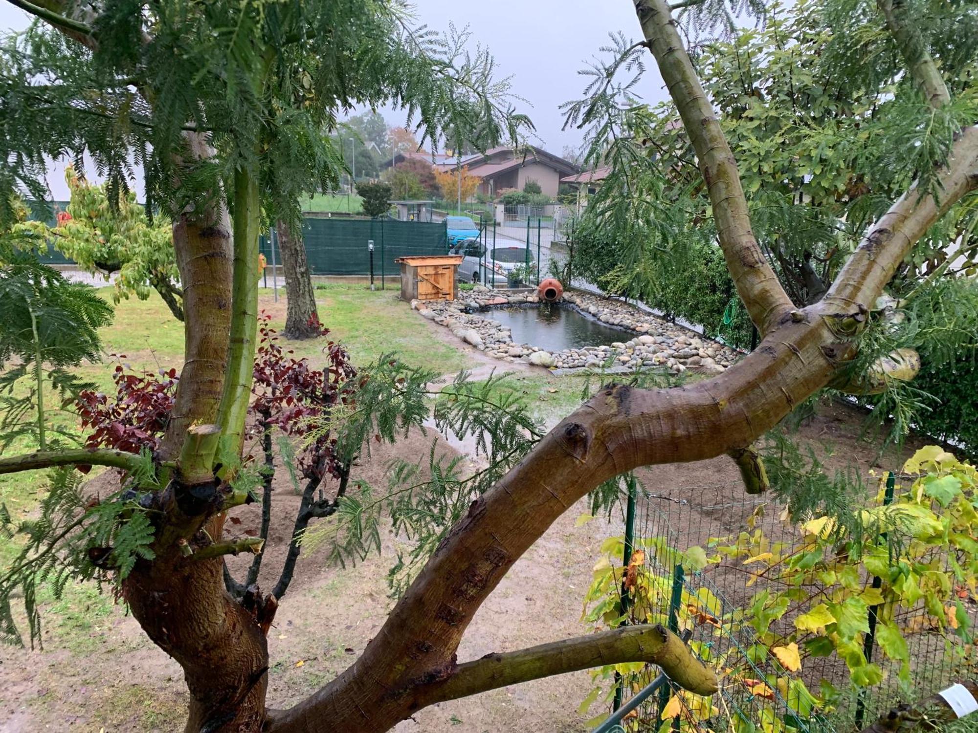 Bed & Breakfast Indi Thelar Villa Guardia ภายนอก รูปภาพ